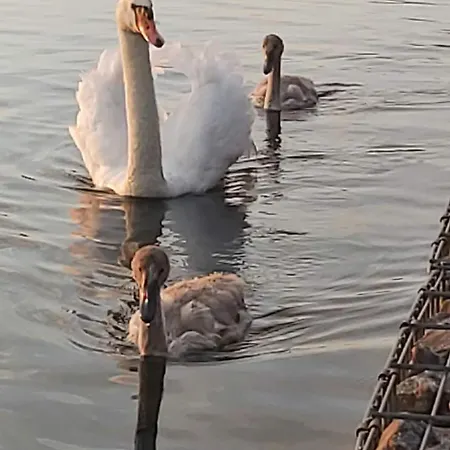 Gemuetliches Im Seegebiet Inheiden - Neu *