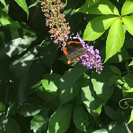 Gemuetliches Im Seegebiet Inheiden - Neu *