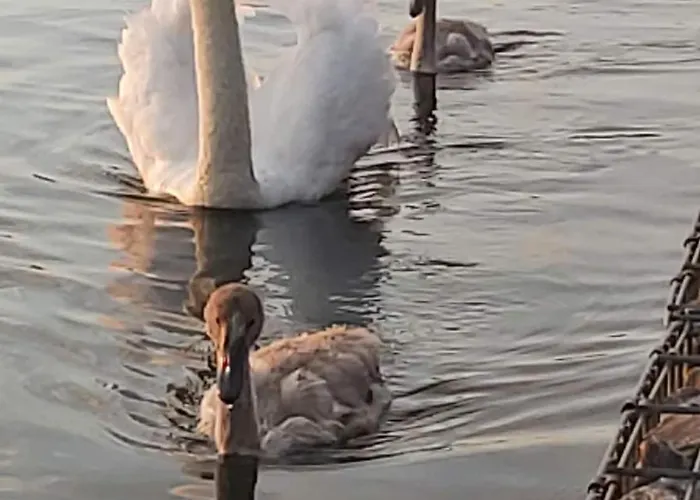 Gemuetliches Im Seegebiet Inheiden - Neu *