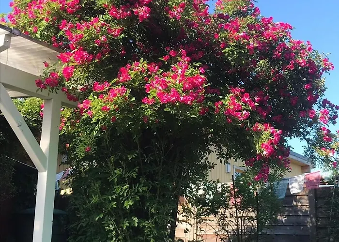 Holiday home Gemuetliches Im Seegebiet Inheiden - Neu *