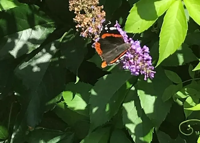 Gemuetliches Im Seegebiet Inheiden - Neu *